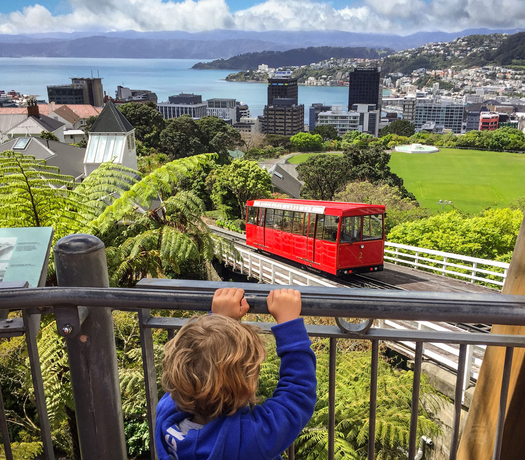1050x920Destinations Wellington Watching the Cable Car RH0318