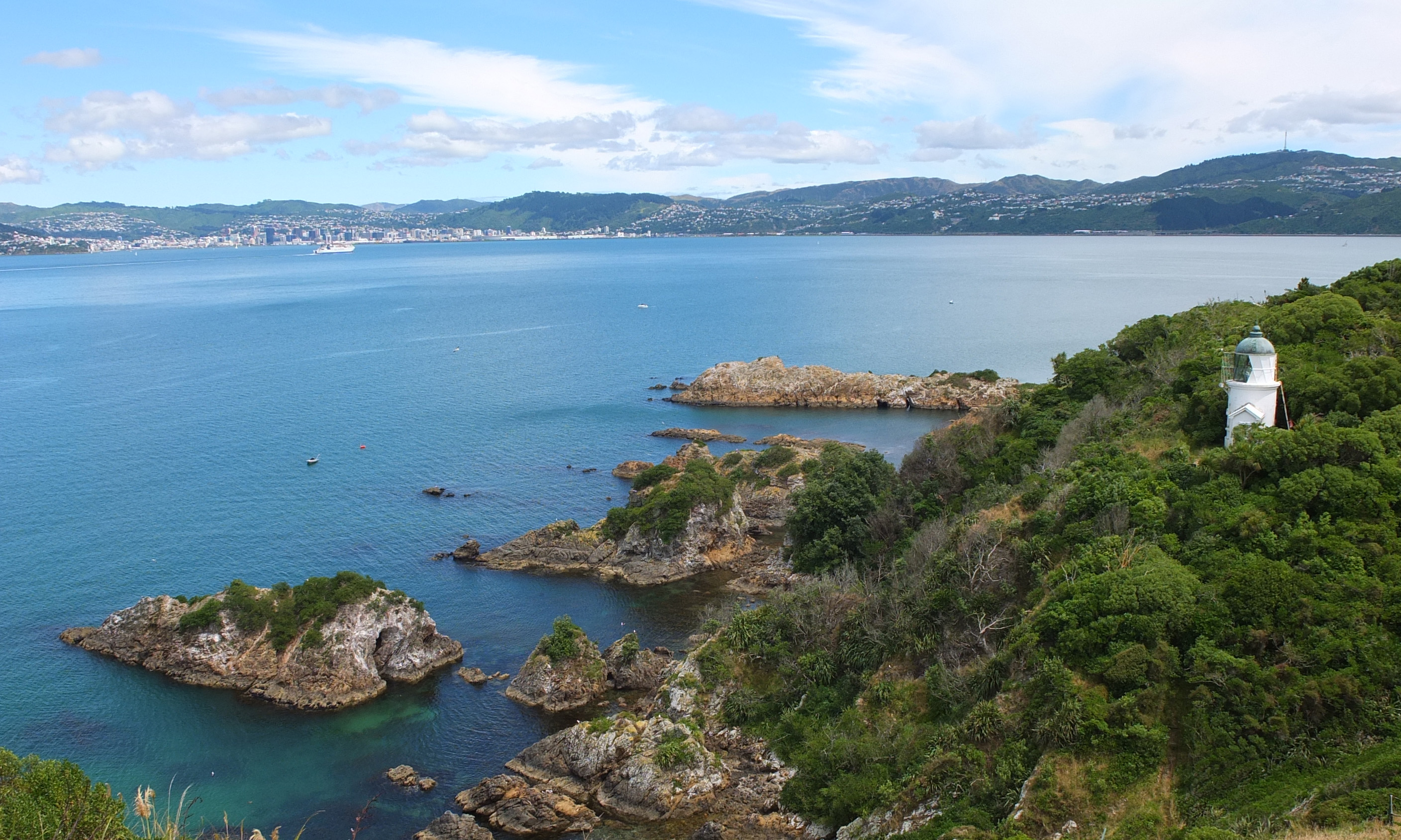 800x480Somes Island 2