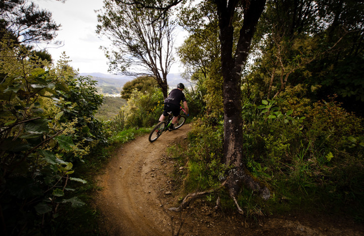 Biker on trail at Wainuiomata Mountain Bike Park FocusFillWyIwLjAwIiwiMC4wMCIsNzIwLDQ2OF0