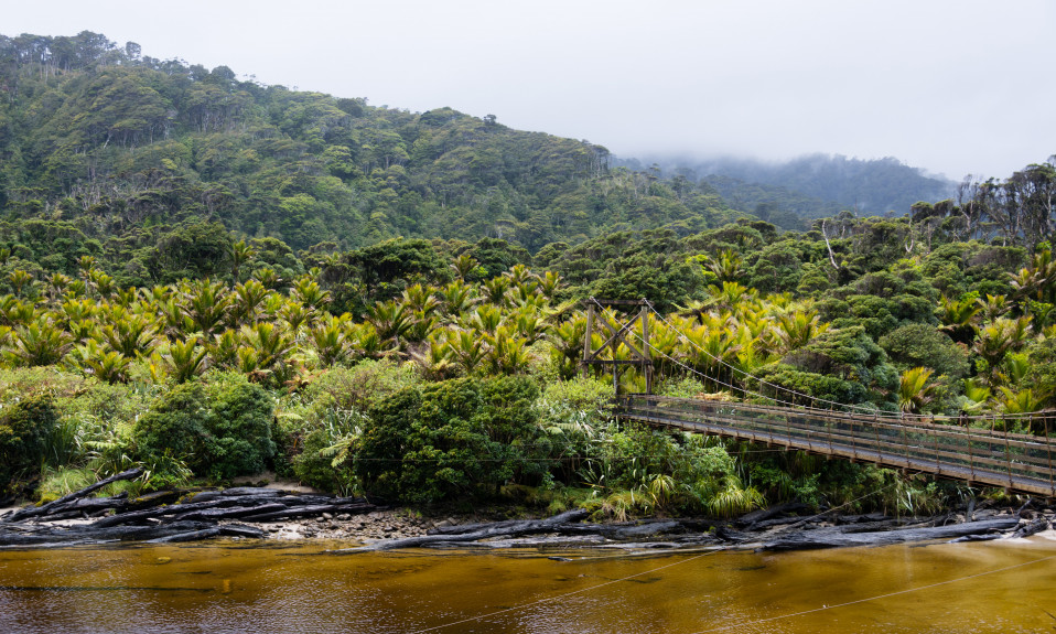 800x480Heaphy Track ResizedImageWzk1OCw1NzVd