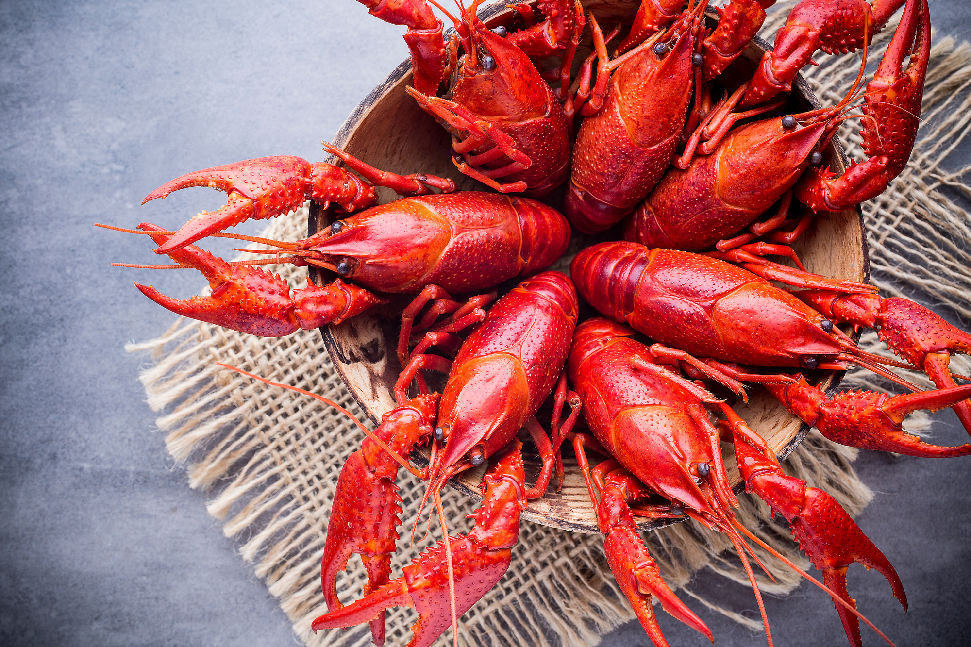 Crayfish1
