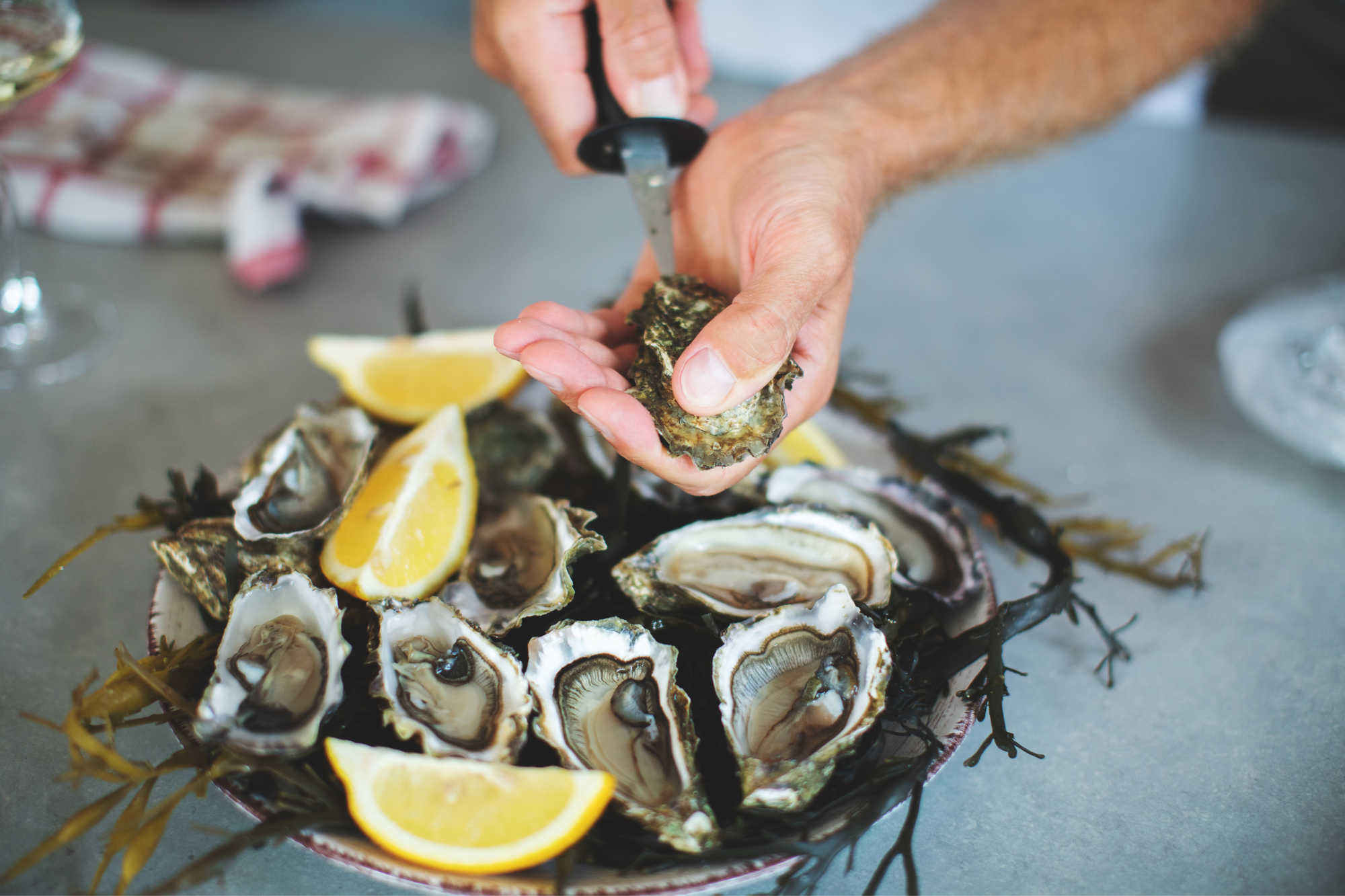 Oysters1