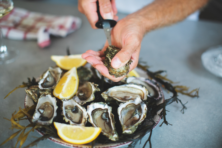 Oysters1