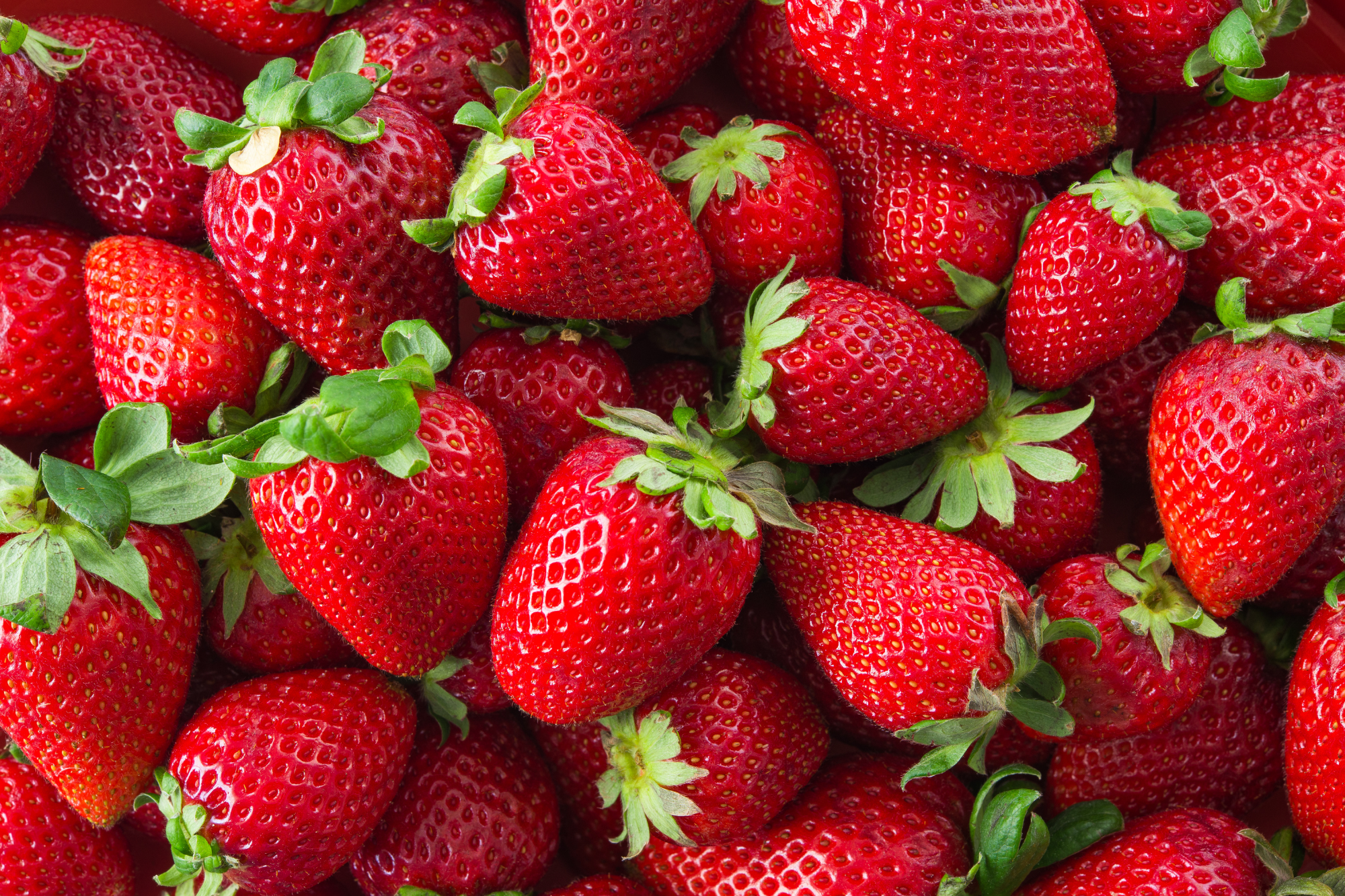 Strawberries1