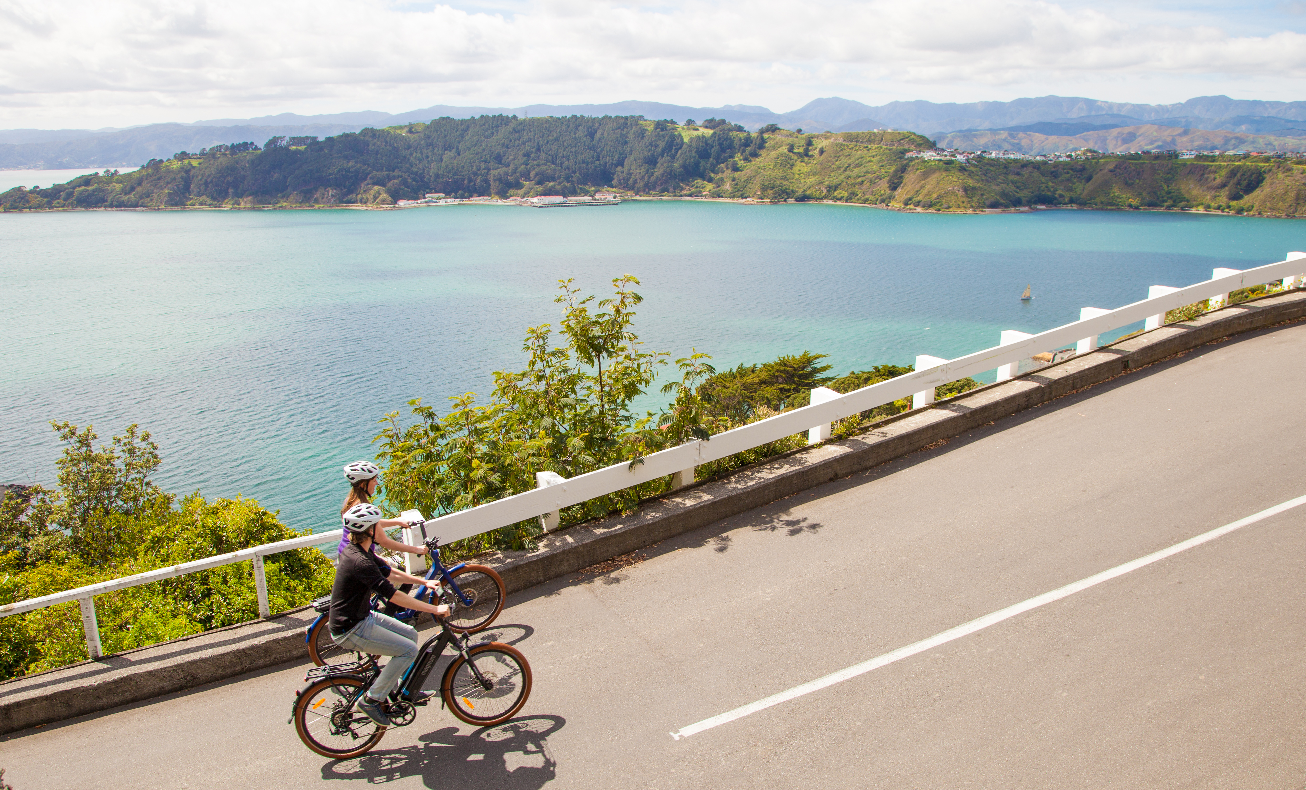 Switchedonbikes Wellington950x575