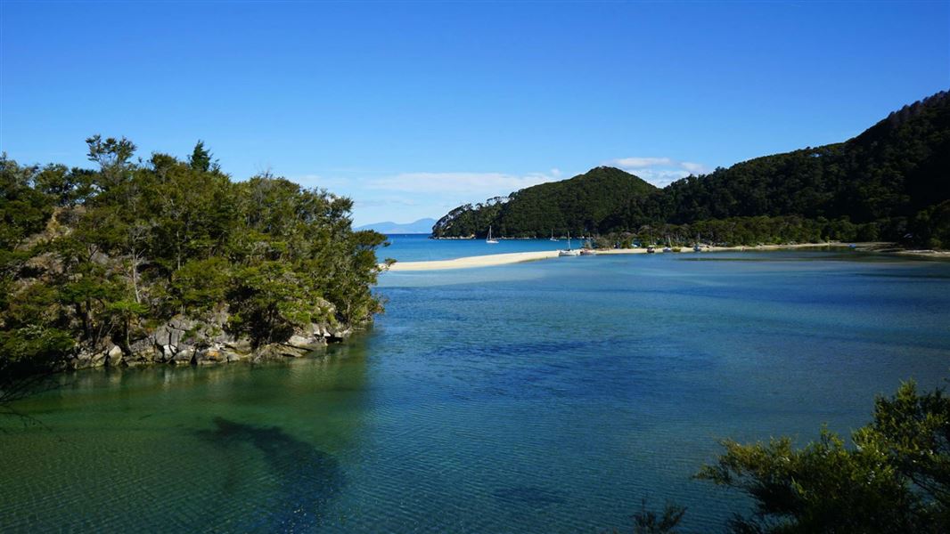 abel tasman bark bay campsite1 1920