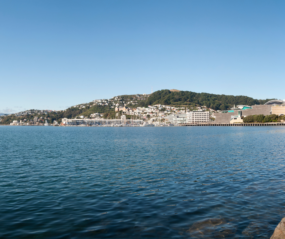 harbourandtepapa1