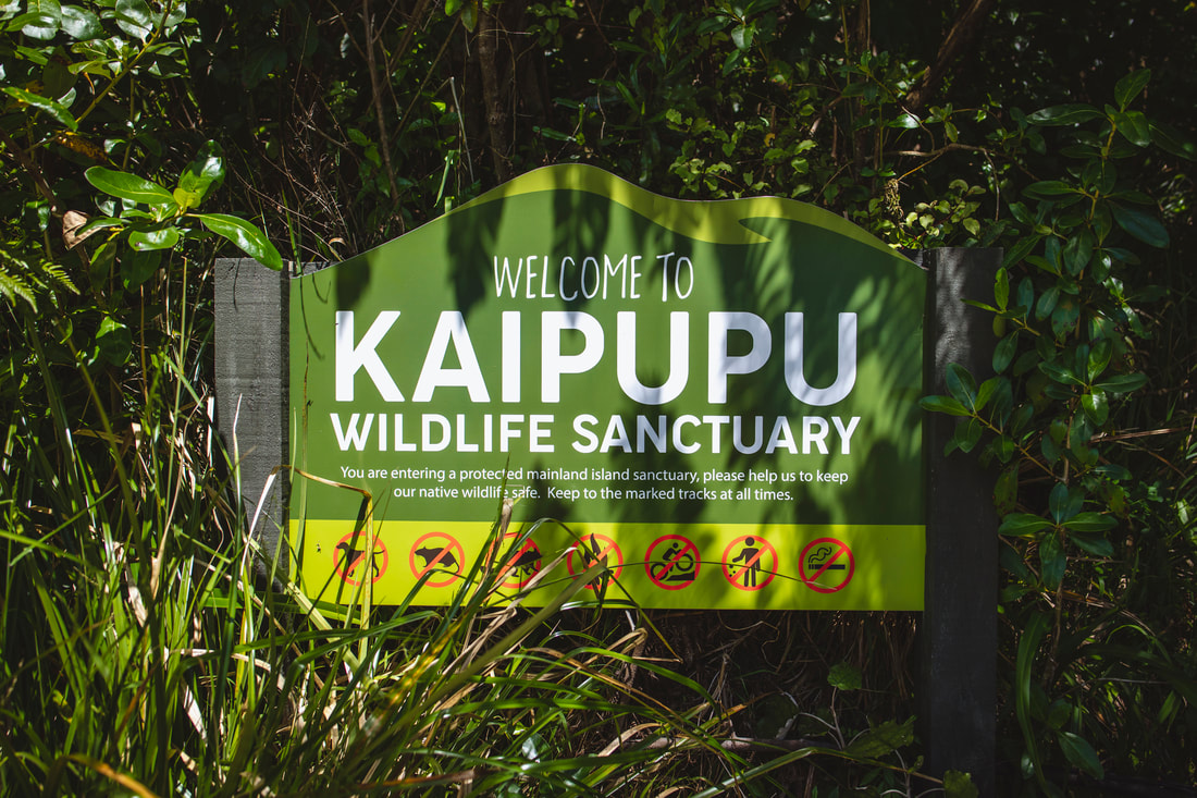 kaipupu sanctuary rbphoto22 3493 orig 1