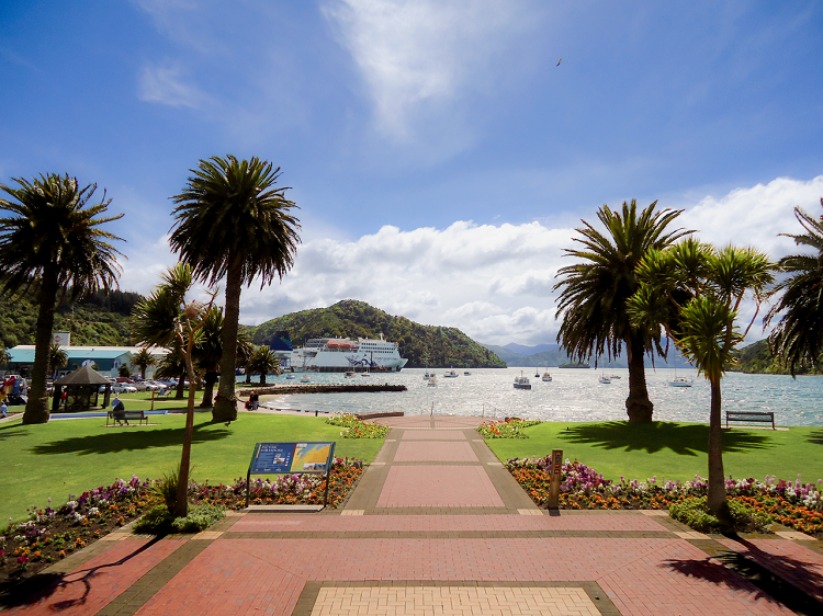 Pelorus Jack Lounge is back for the school holidays