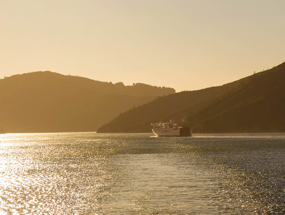 cook strait ferry
