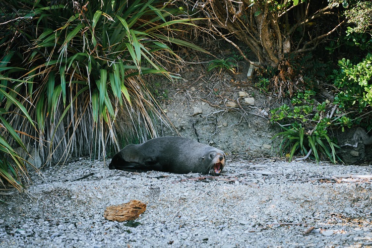 seal Eko Tours 1 of 1