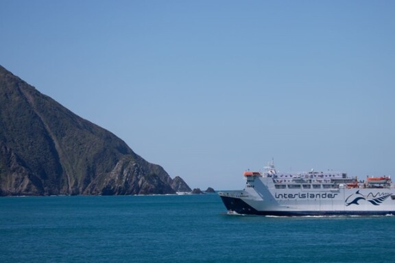 Kaiarahi at Wellington Heads
