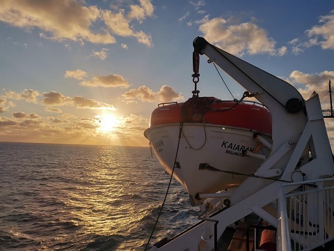 Kaiarahi at sunset