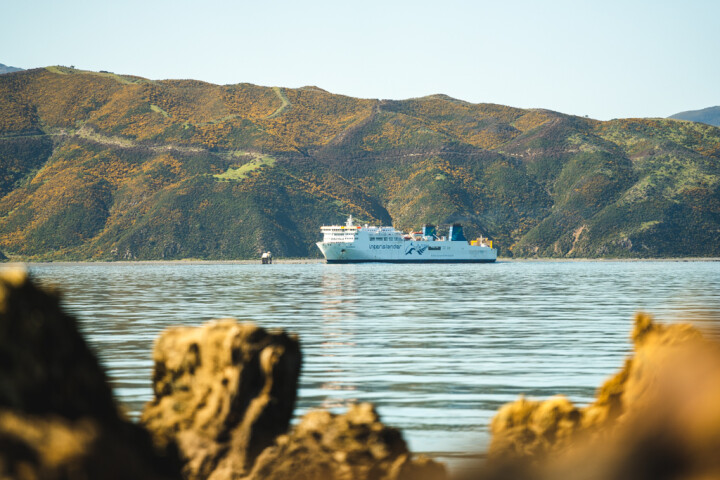 Kaiarahi arriving Wellington Interislander JS 100