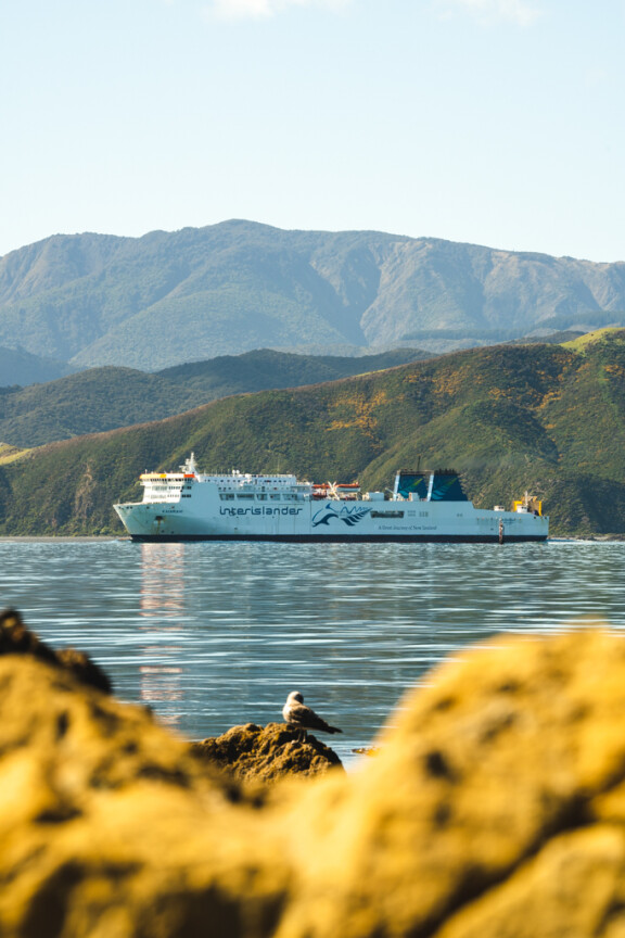 Kaiarahi arriving in Wellingotn