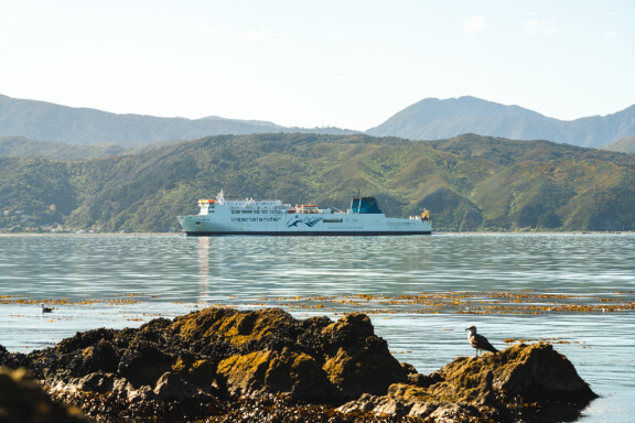 Kaiarahi arriving Wellington Interislander JS 181