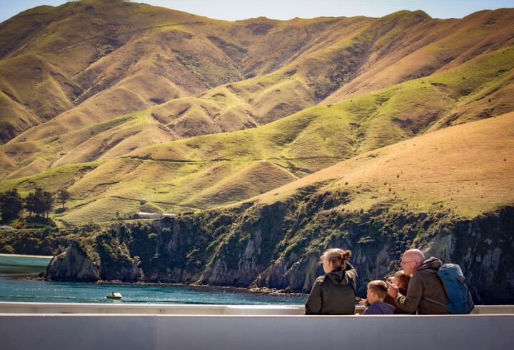 Interislander Kaitaki family beneath the Arapawa hills 1000x680