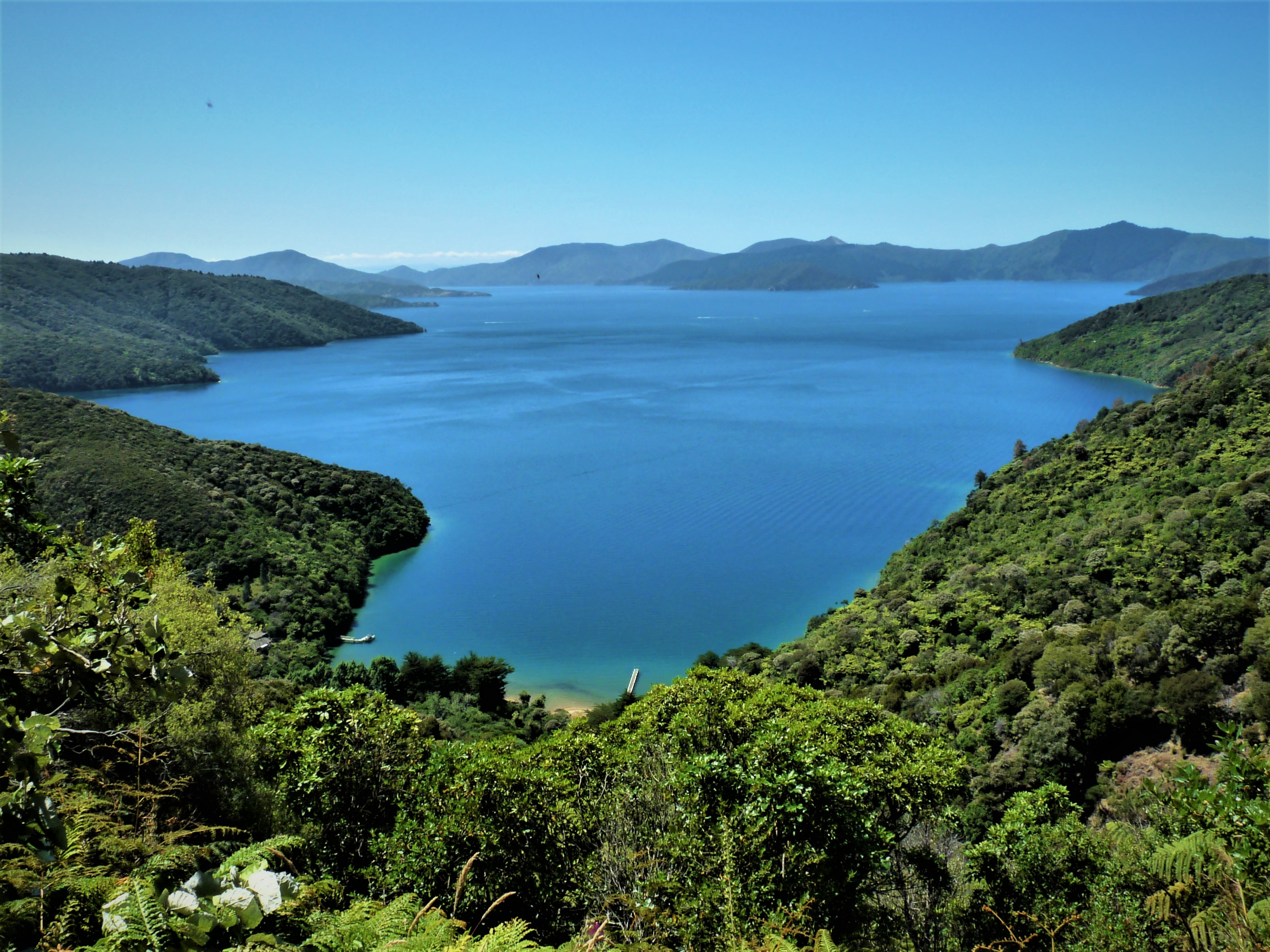 Queen Charlotte Sound 3