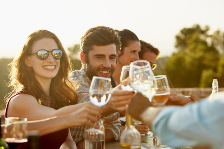 group drinking wine 002
