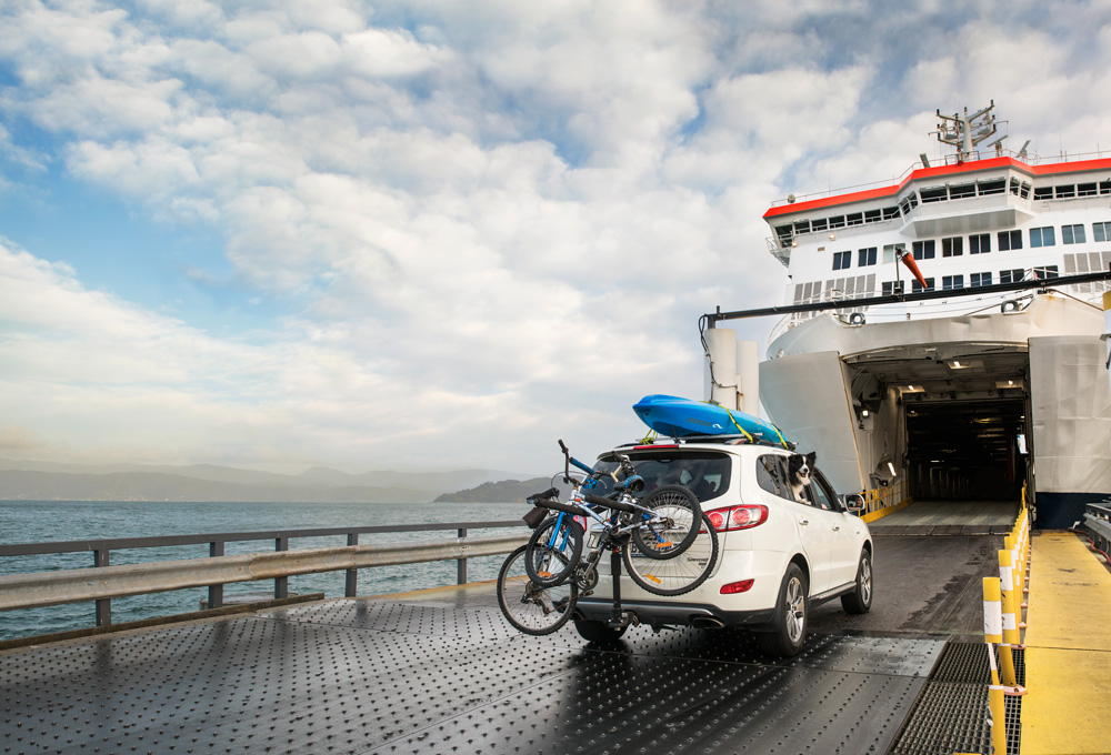 Interislander taking pets on board 1000x680