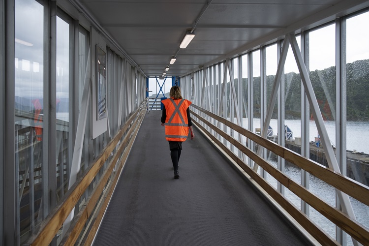 Picton Ferry Terminal RBPHOTO 42