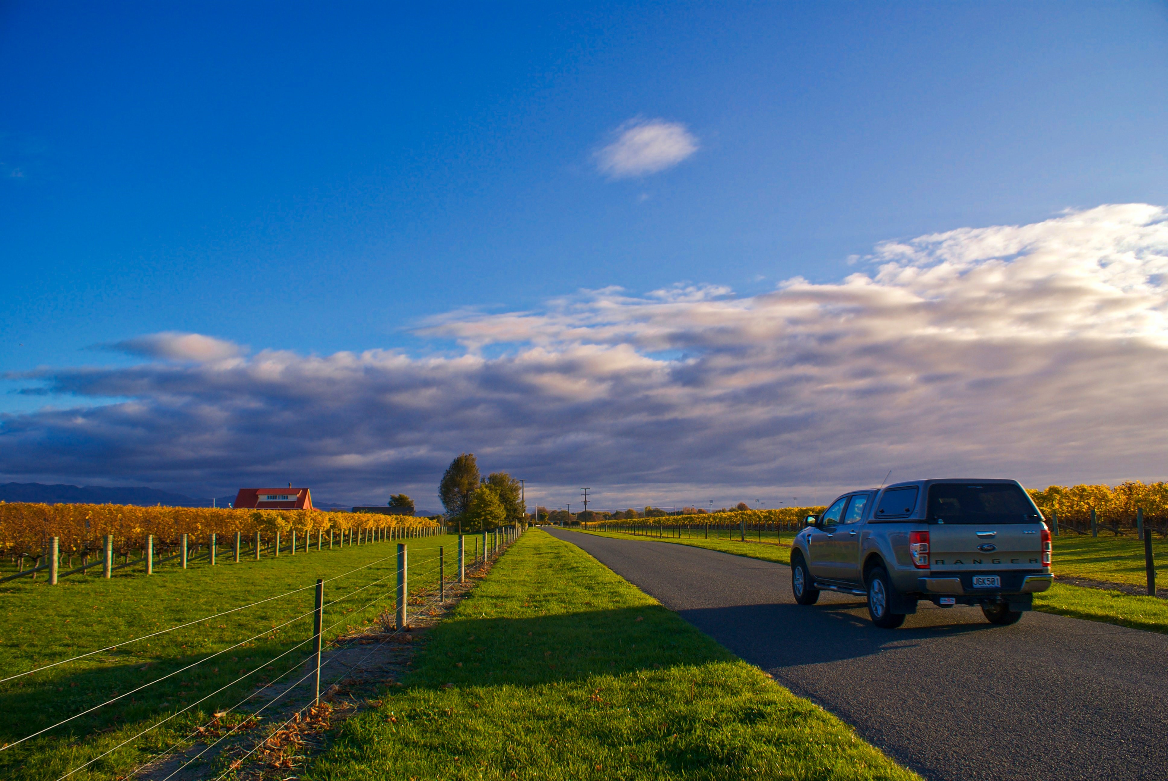 car and vineyard