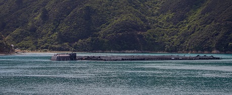 Salmon Farm 460px