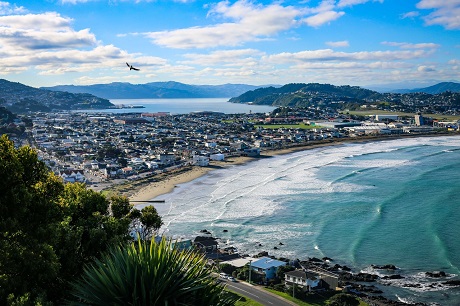 View of Lyall Bay Beach Wellington credit Celeste Fontein