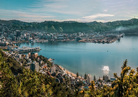 Wellington Harbour