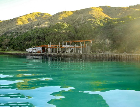 perano whaling station