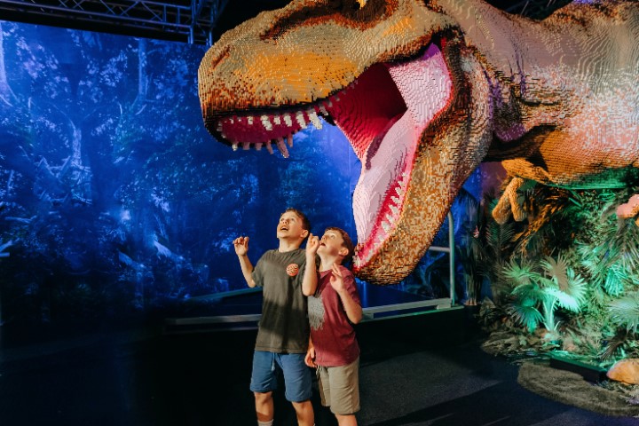 720 X dinosaur