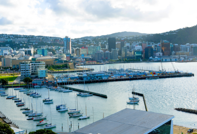 wellington2 2