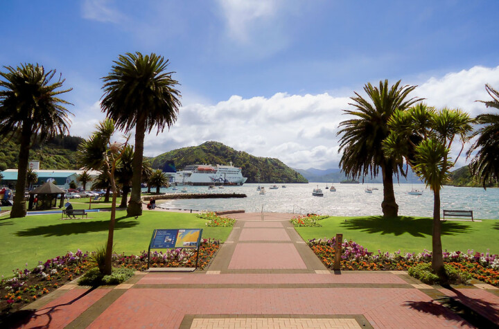 Picton foreshore 1000x660